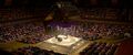 Sumo arena